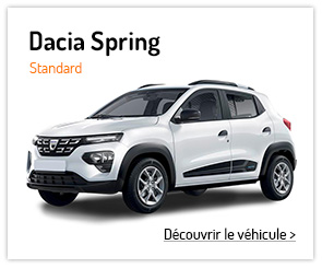 cards-dacia-spring